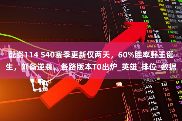 配资114 S40赛季更新仅两天，60%胜率野王诞生，刘备逆袭，各路版本T0出炉_英雄_排位_数据