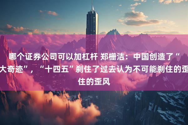 哪个证券公司可以加杠杆 郑栅洁：中国创造了“两大奇迹”，“十四五”刹住了过去认为不可能刹住的歪风
