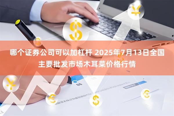 哪个证券公司可以加杠杆 2025年7月13日全国主要批发市场木耳菜价格行情