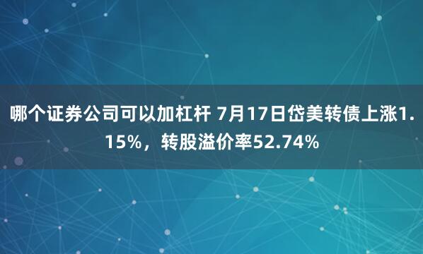 哪个证券公司可以加杠杆 7月17日岱美转债上涨1.15%，转股溢价率52.74%