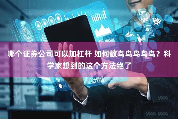 哪个证券公司可以加杠杆 如何数鸟鸟鸟鸟鸟？科学家想到的这个方法绝了