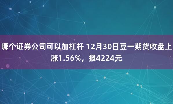 哪个证券公司可以加杠杆 12月30日豆一期货收盘上涨1.56%，报4224元